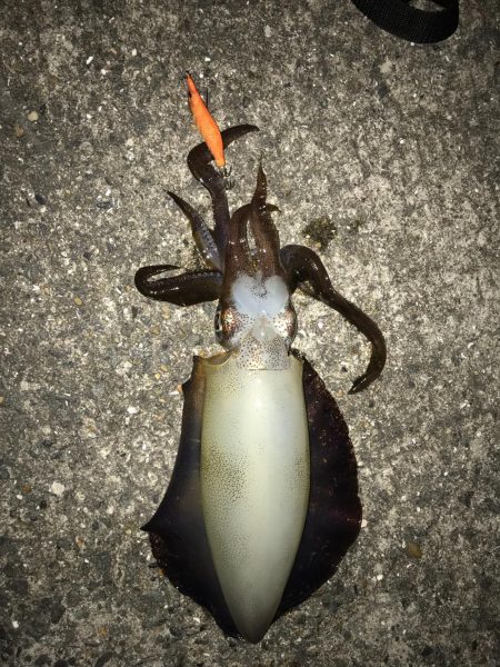 閉園前ギリギリGET