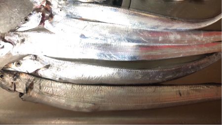 まぁなんとか食べれるぐらい