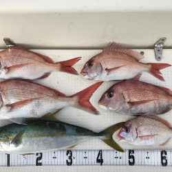 ジギング  鯛ラバ