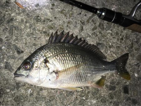 ワームでボトム