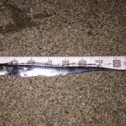 ドラゴンには届かず