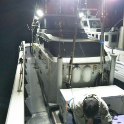 今期初のキロアップ