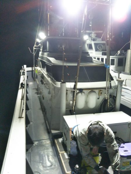 今期初のキロアップ