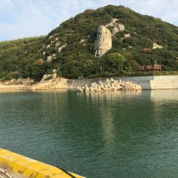 駄目もとハマチ釣り