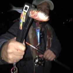 メタルでイワシ