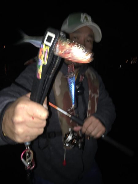 メタルでイワシ