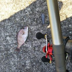 初、垂水一文字だが…