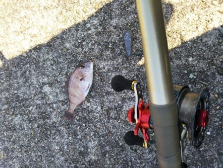 初、垂水一文字だが…