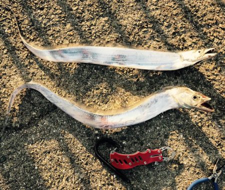 ターゲット捕獲！