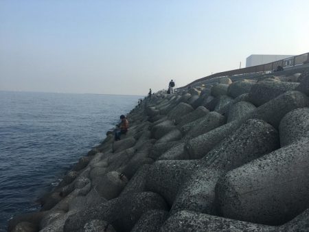 さんダージグでサゴシ