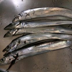 流木に邪魔され無念