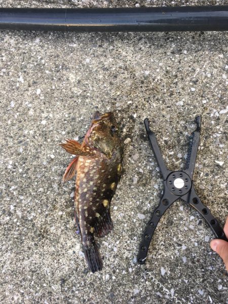 スキルアップ⁉︎