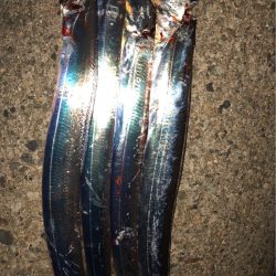 今宵もタッチーチャレンジ(^^)