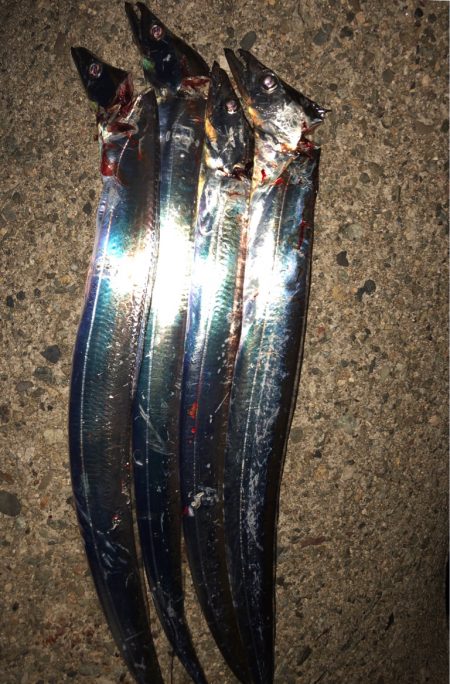 今宵もタッチーチャレンジ(^^)