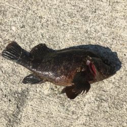 秋の晴れ間に風に吹かれて