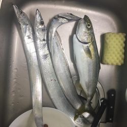 ちょっくらメタジグとワインドで調べ