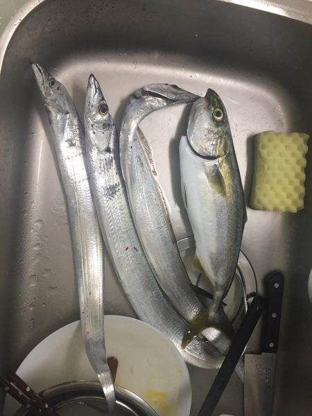 ちょっくらメタジグとワインドで調べ