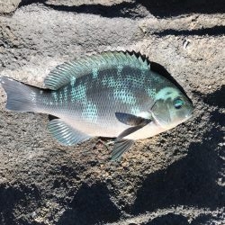 まだまだ台風の傷跡が生々しく残る中