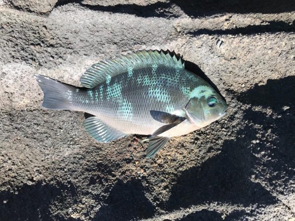 まだまだ台風の傷跡が生々しく残る中