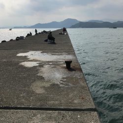 津田沖一文字でアジ、チヌ