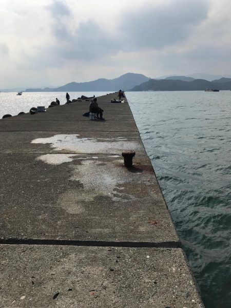 津田沖一文字でアジ、チヌ