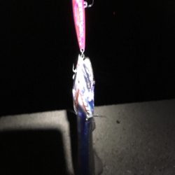 メタルジグで釣れました。