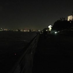 大阪奥湾ワインド ただ巻きパターン