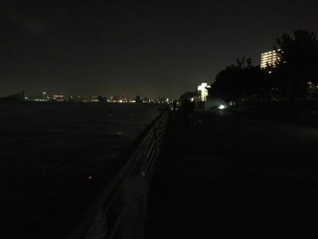 大阪奥湾ワインド ただ巻きパターン