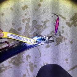 メタルジャッカー 太刀魚