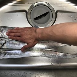 舞洲でリベンジ