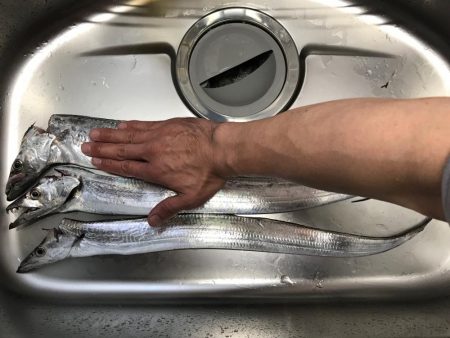 舞洲でリベンジ