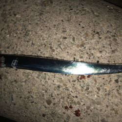 月夜のタッチー調査(^。^)