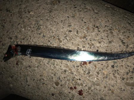 月夜のタッチー調査(^｡^)