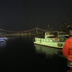 買い物ついでにアジング