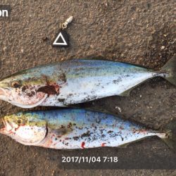 お久しぶりです