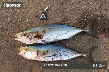 お久しぶりです