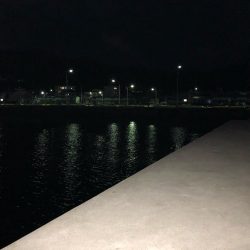 福良アジング②