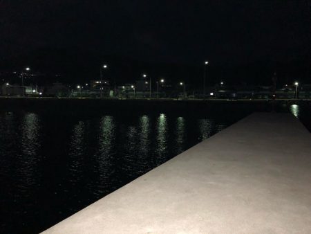 福良アジング②