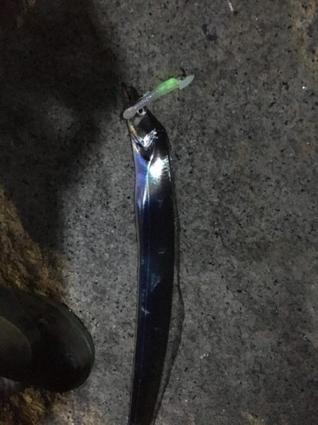 渋い〜(*´Д｀*)