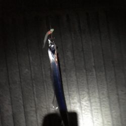 自分だけシブいっす（苦笑）