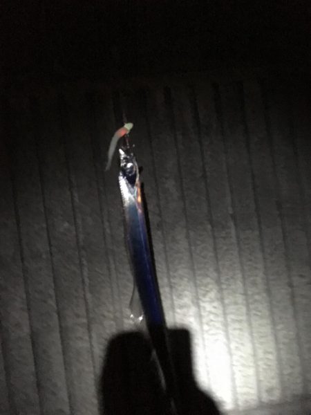 自分だけシブいっす（苦笑）