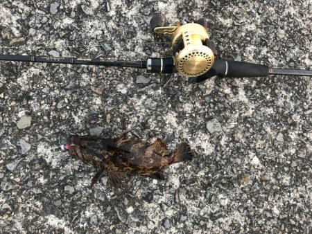 今日もライトロック