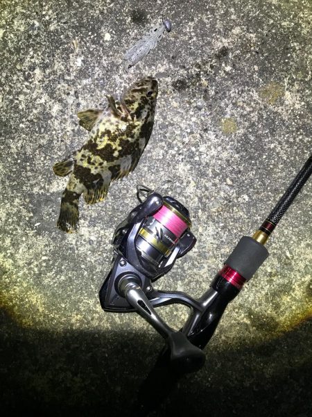 強風ライトゲーム