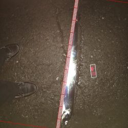 やっとシーバス❗️