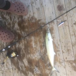 坊主4連続からの脱出