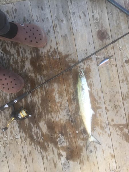 坊主4連続からの脱出