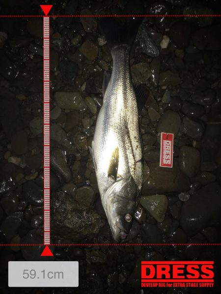 落ち鮎パターン