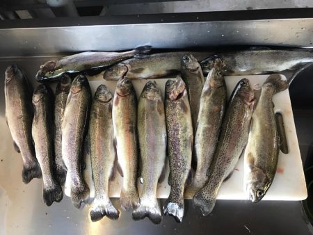 管理釣り場でトラウト！