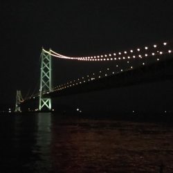 アオリイカー！！