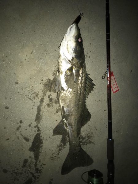 初ランカー！！